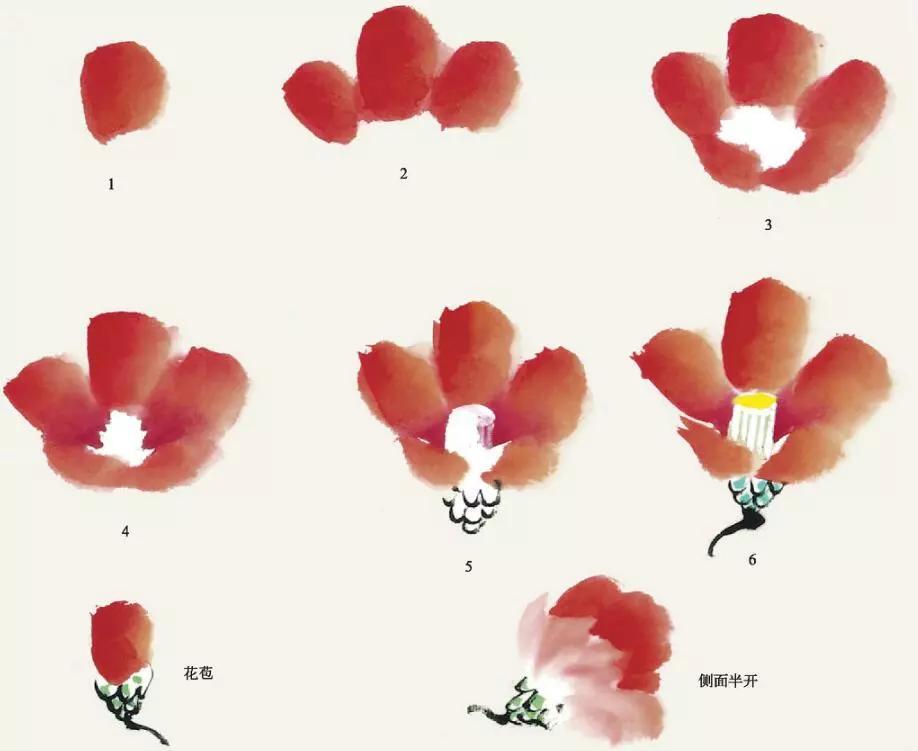 国画教程:茶花