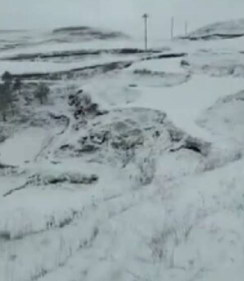 云南俩学生雪地中烤火蹭网堪比囊萤映雪现实版催人向上