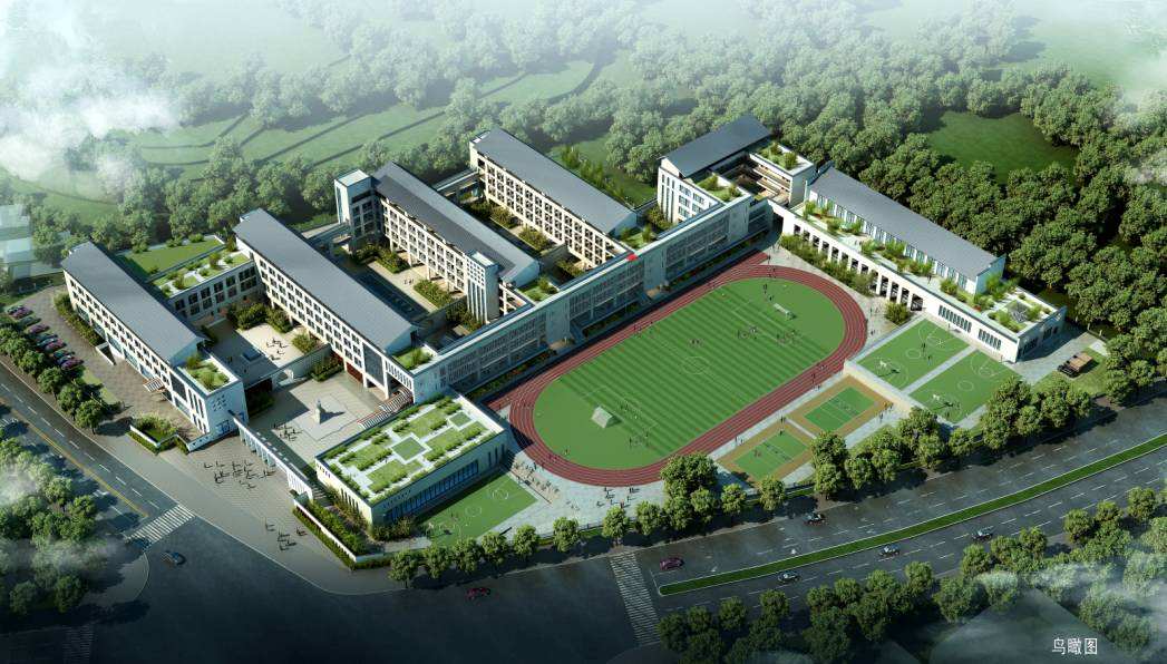 2020学前教育本科分_山东省春季高考2020年学前教育专业本科招(2)