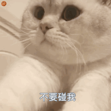 沙雕表情包