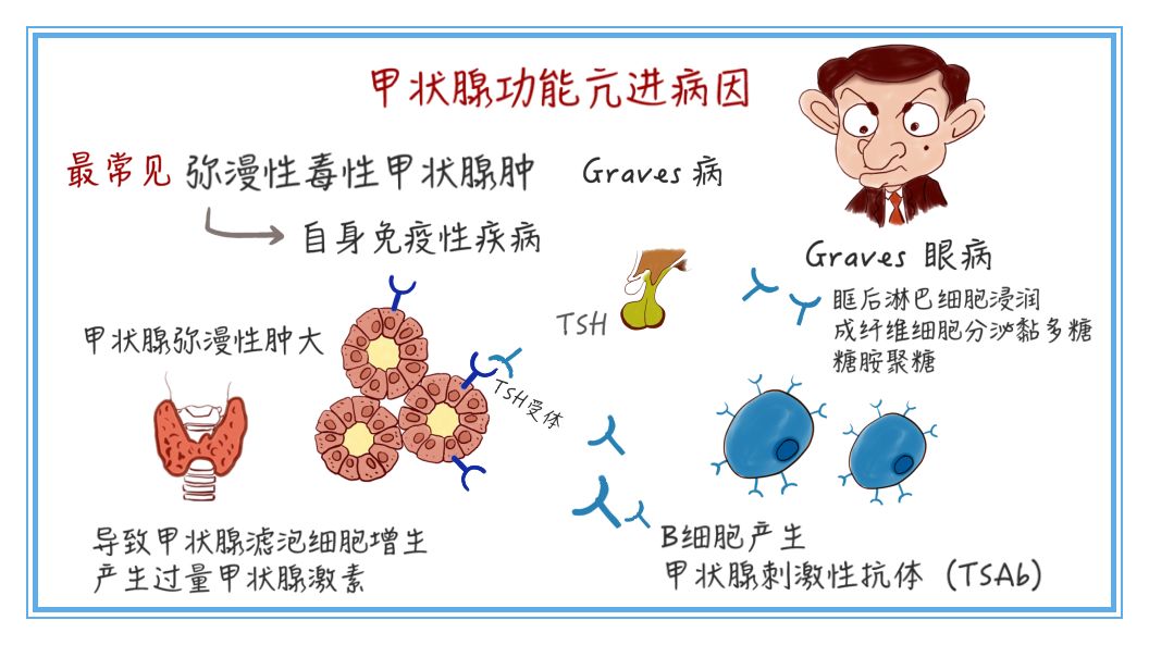 医学动漫包租婆不孕不育多年还食得野最近竟瘦出小蛮腰了小心是甲亢