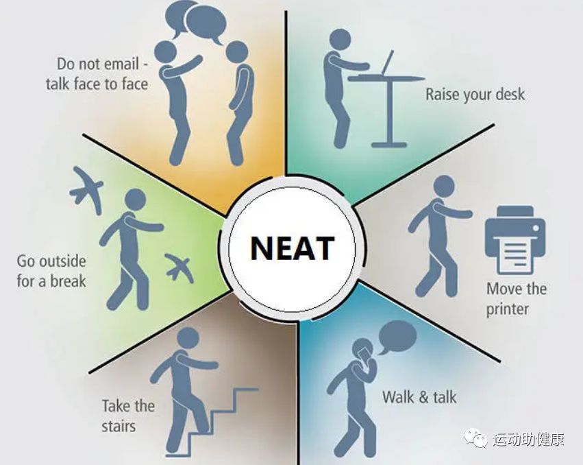neat让你不知不觉就变瘦