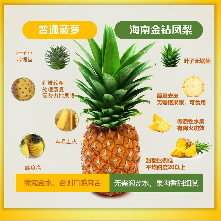 听说很多人还搞不清楚凤梨和菠萝的区别?