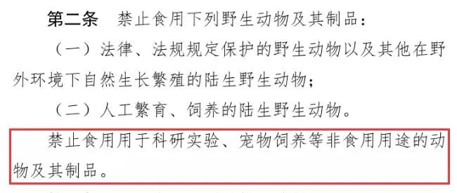 期待！禁食貓狗，深圳可能將成為內地第一城可食用動物… 寵物 第1張