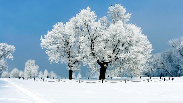 我喜欢冰天雪地的景色:白茫茫大地真干净