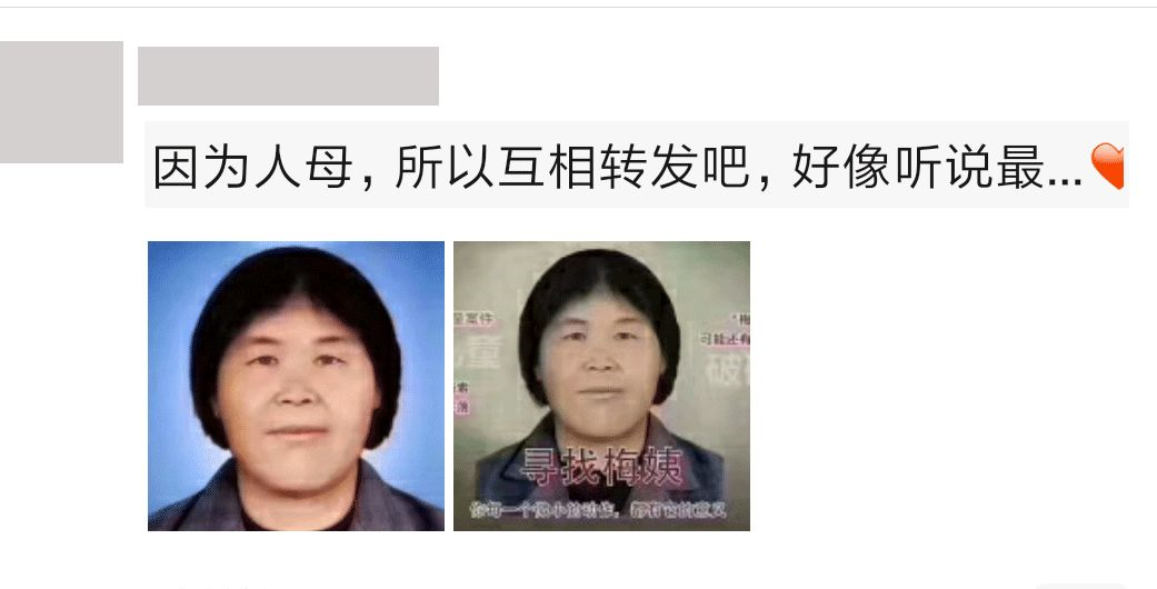 寻子15年他们终于见面了梅姨终将无处可逃