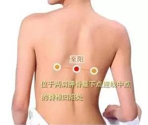 6cb0bfdcd6e046b6805e42122d51a4cb.JPG