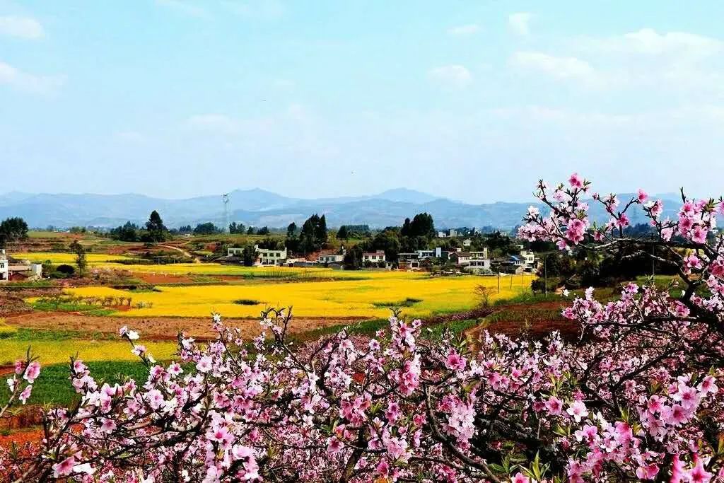 崔护《题都城南庄》龙门桃花沟龙门桃花沟位于青白江姚渡镇凉水村