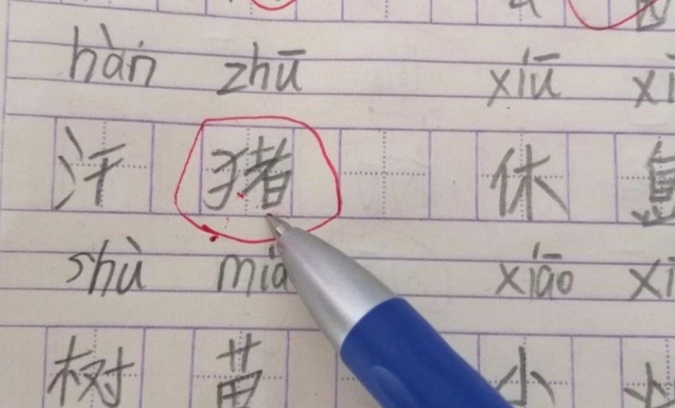 原创“寒假作业被我妈炒菜了”，千万不要随便动小学生的作业