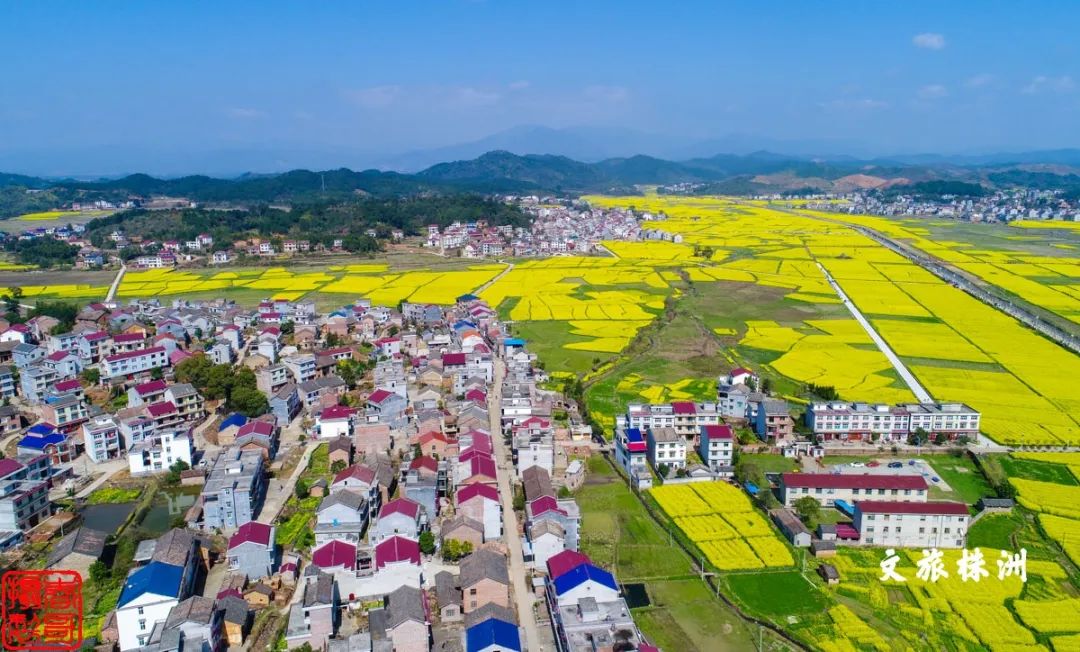 官庄镇官庄村,王仙镇李山村攸 县:网岭镇罗家坪村,新市镇新联村,石羊