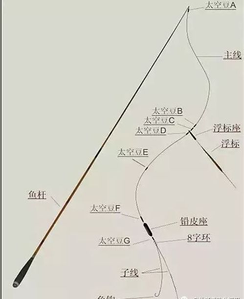 【钓鱼技巧】适合一年四季所有野钓水域的线组