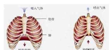 体水分率偏低怎么办