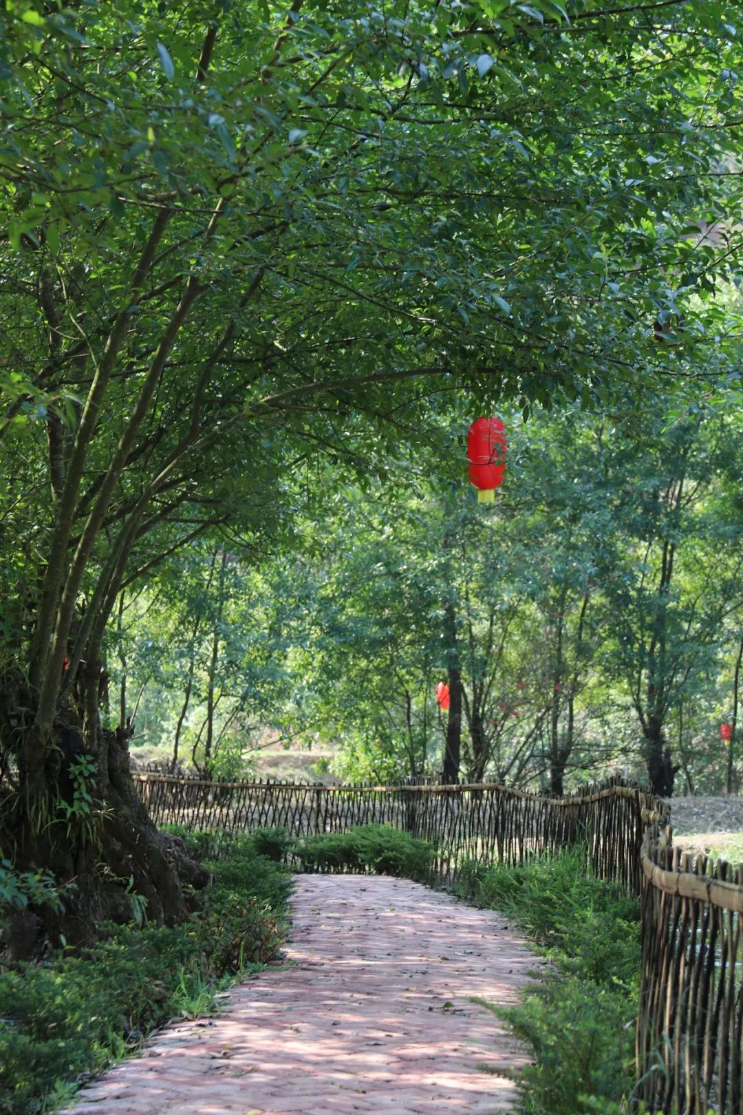 芒市回贤古寨门票优惠活动