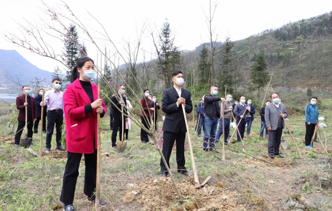 县领导刘建,罗庆,黄永富,申春,肖维斌,谢光永,周丽虹,刘化军,王维波