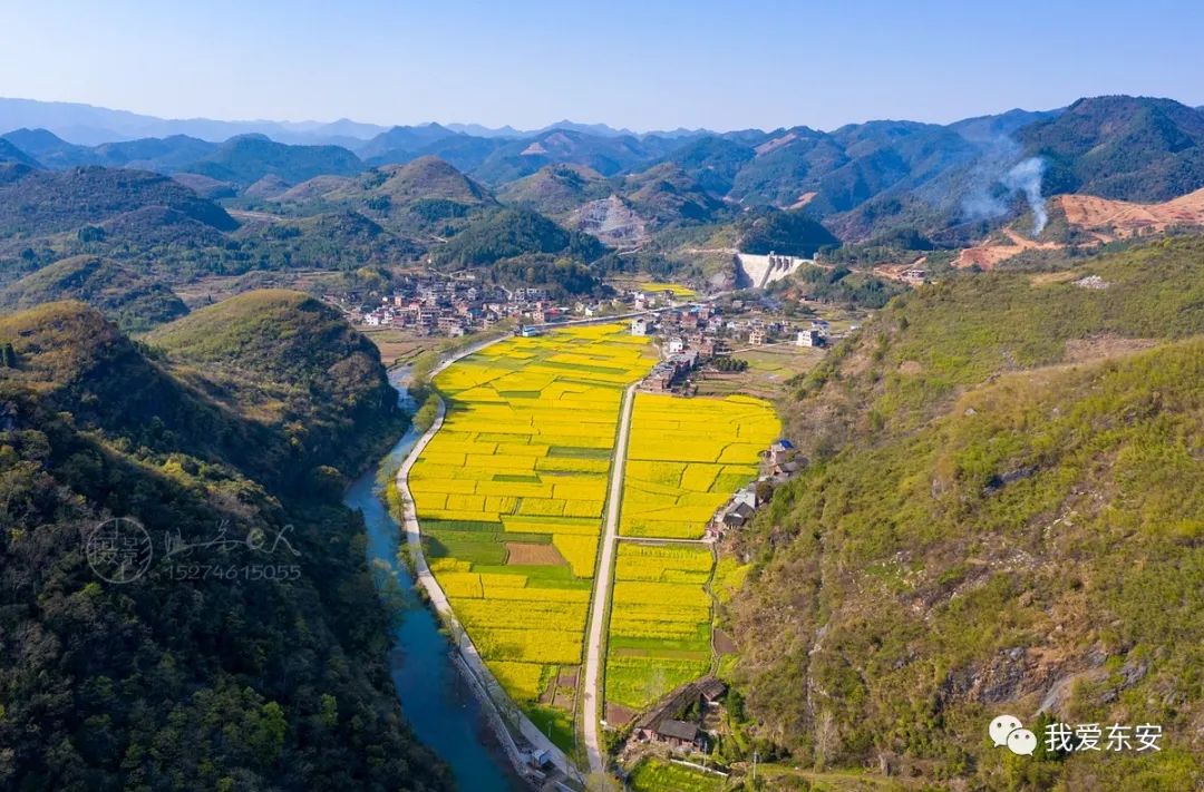 东安县新圩江镇芦江村千亩油菜花开得正旺处处春意盎然,万艳争春怎么