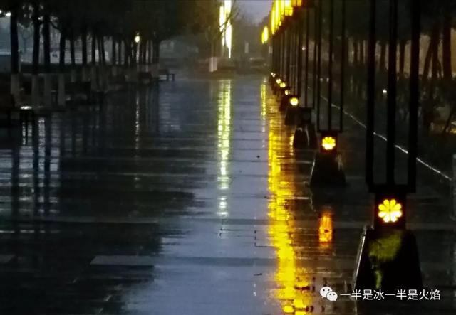 雨夜,丰富的安静.雨似精灵,拨动心绪.