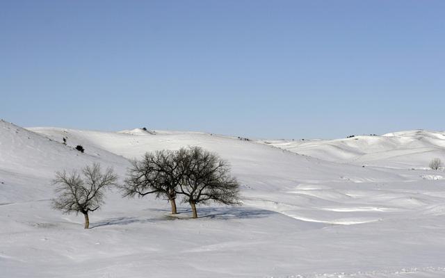 我喜欢冰天雪地的景色白茫茫大地真干净