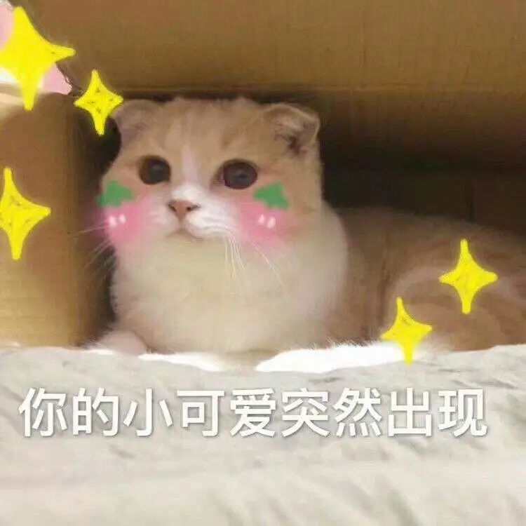 e5e5c9dada384c64ab88d77f92ff5640.jpeg