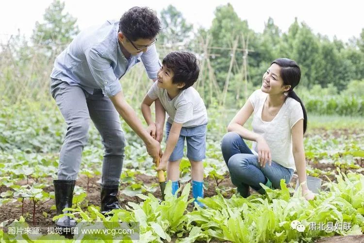 走进田间地头,亲近大自然 |肃北县蔬菜种植体验活动期待你的参与