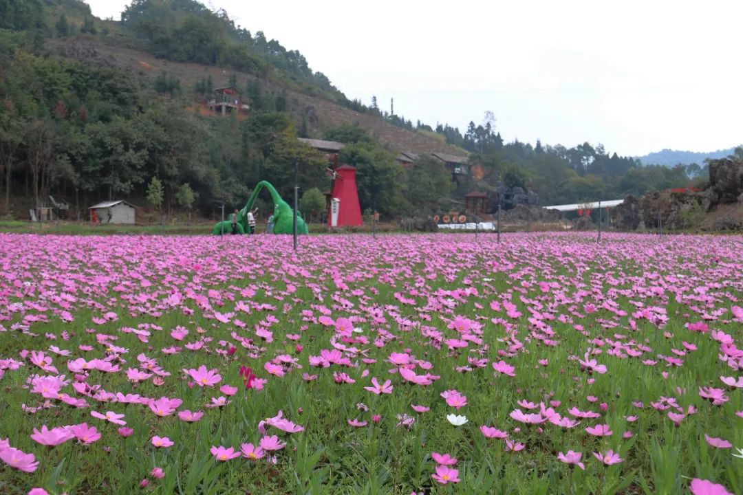 芒市回贤古寨门票优惠活动