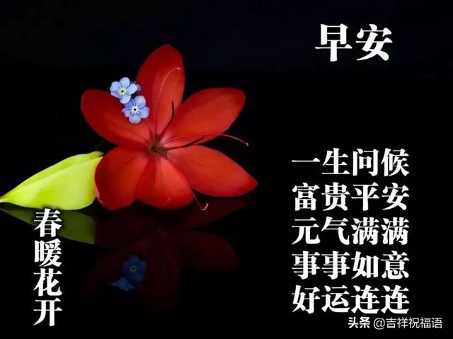 早上好,心态向阳,凡事美好;一声问候,好运连连.早安