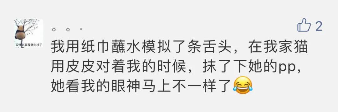 “好奇猫奶是什么味道，有人和我一样喝过猫奶吗？”