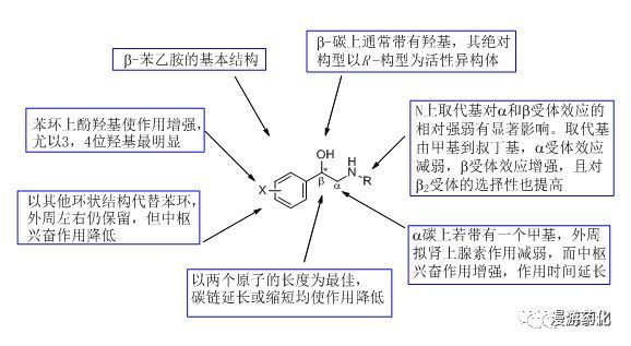 三,吗啡类药物的构效关系根据构效关系和实验结果,我们指定氯丙嗪指数