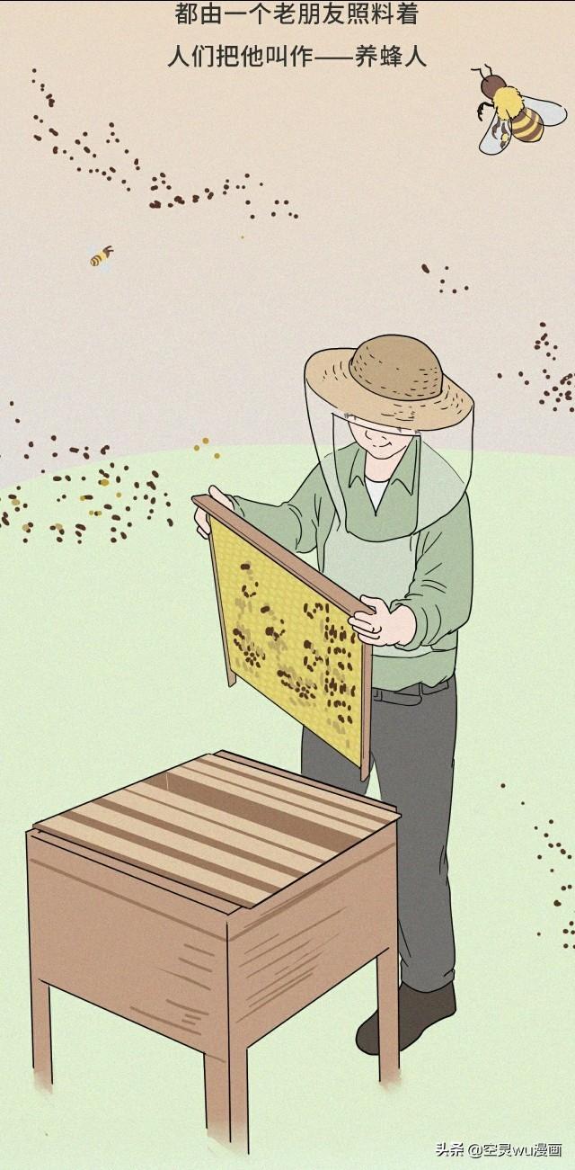 漫画养蜂人花儿开了蜜蜂走了