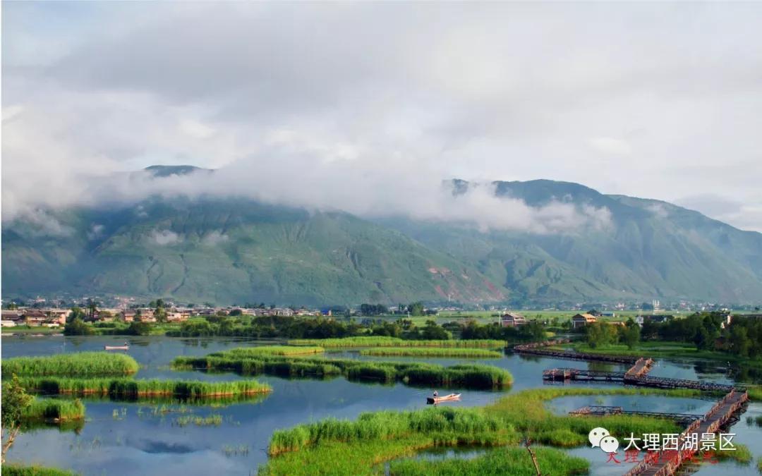 大理旅游集团所属洱源西湖景区3月13日恢复营业,还有开园优惠!