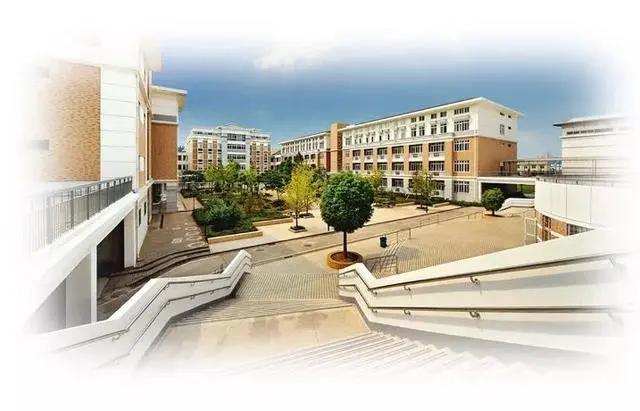 2020武汉50强小学排名_武汉园建上榜“2020中国城市园林绿化企业50强”(2)