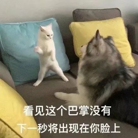 猛男表情包|生气,完全生气!