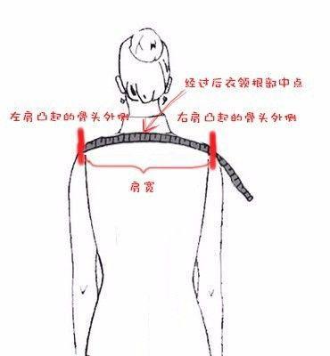 量肩宽的标准方法如图所示,从左肩凸起的骨头外侧,经过后衣领根部
