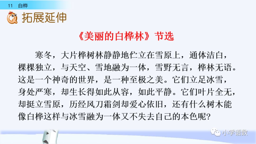 送统编版语文四年级下册三单元课文11课白桦教学视频图文讲解同步练习