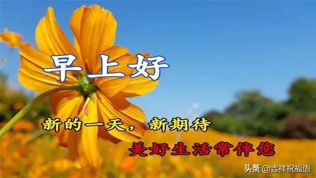 312朋友圈最新漂亮正能量早上好问候图片最美早安祝福语大全