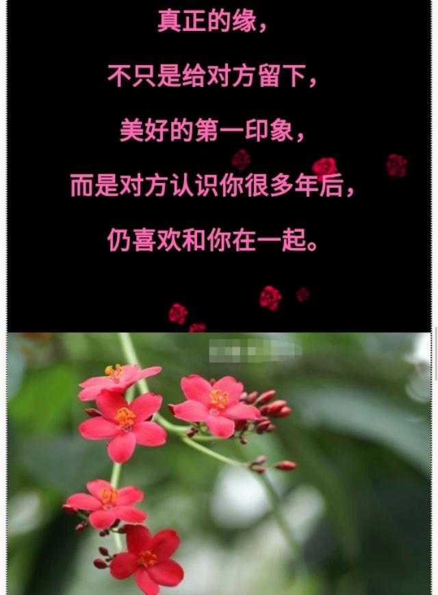 若有缘再相见,懂得珍惜,才配拥有,送给有缘的你