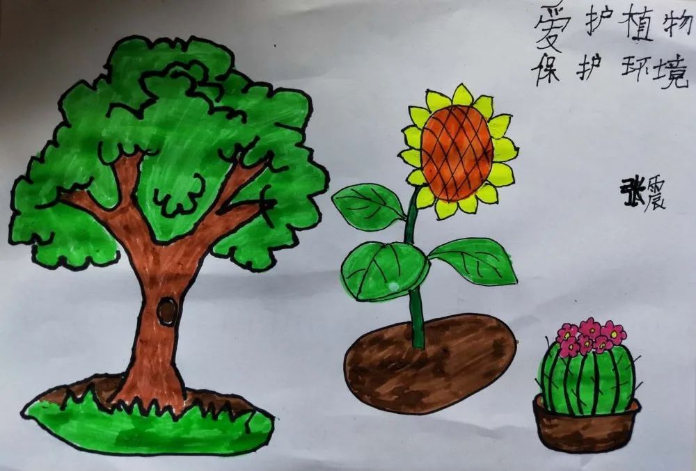 万众一心战疫情植树护绿守家园桃源小学开展植树节系列活动