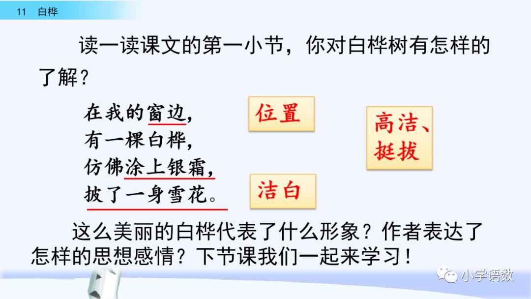 送统编版语文四年级下册三单元课文11课白桦教学视频图文讲解同步练习