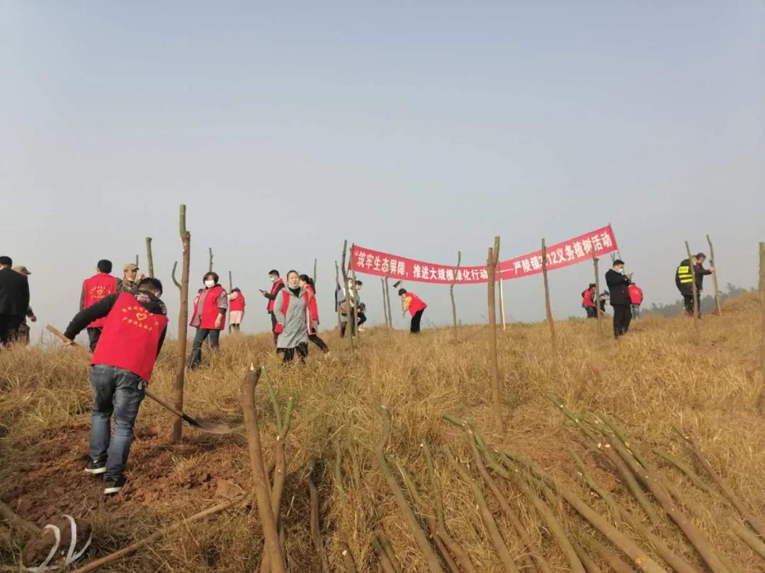 严陵镇人口_威远县严陵镇中心校