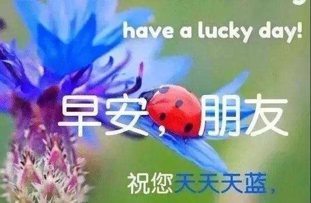 4e6d932ec6ac463c8bf5be2ed31b35c6.jpeg