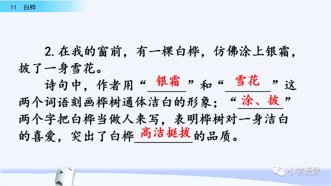 送统编版语文四年级下册三单元课文11课白桦教学视频图文讲解同步练习