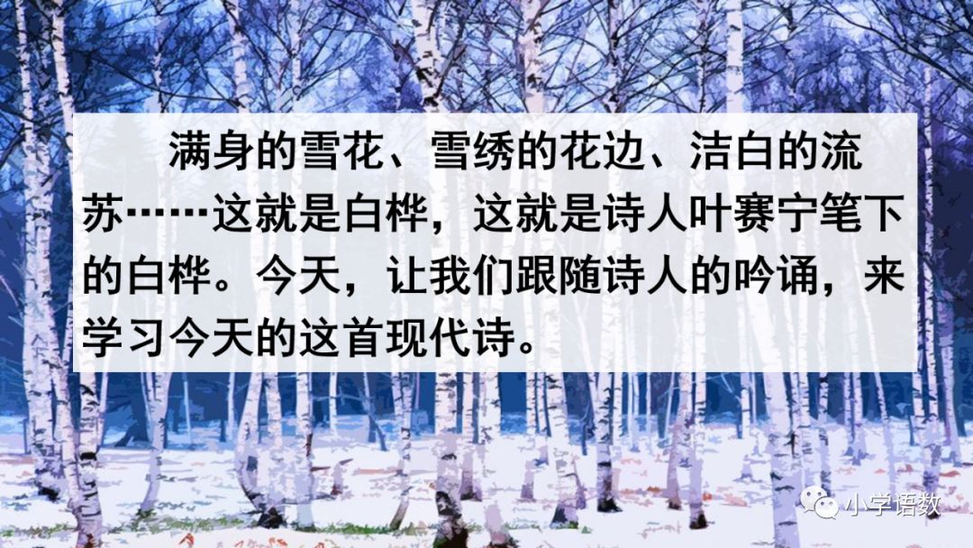 送统编版语文四年级下册三单元课文11课白桦教学视频图文讲解同步练习