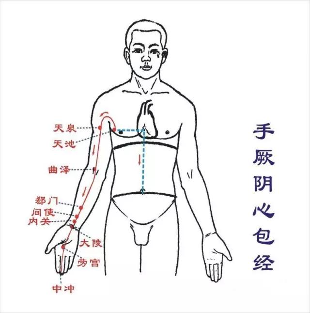 少商穴:治疗急性咽喉肿痛鱼际穴:是肺经的火穴,清火的效果意料的好