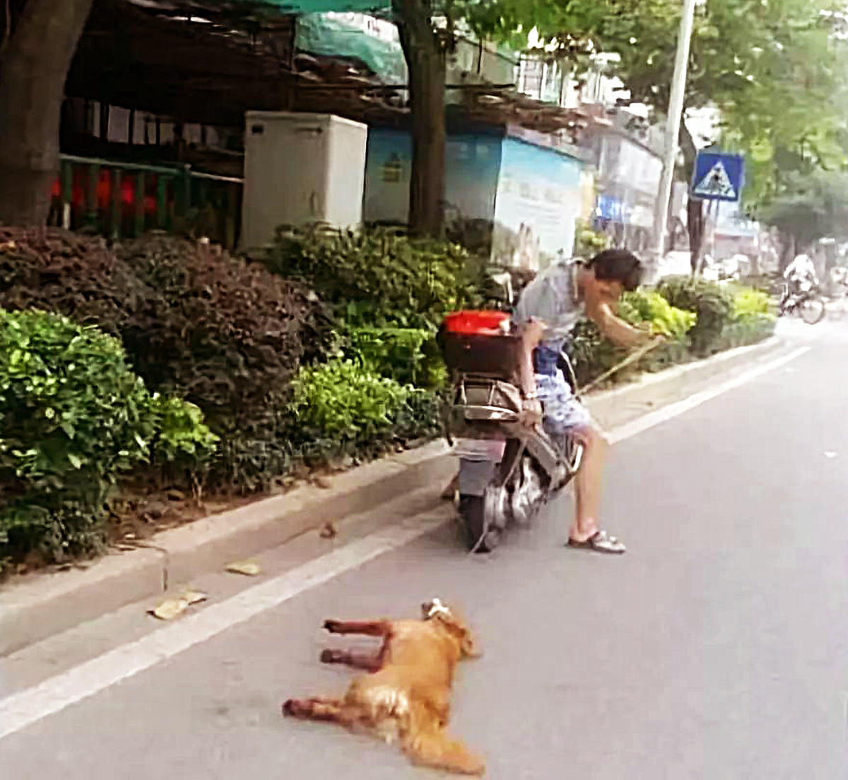 男子將狗拴在車後拖行，狗不斷發出慘叫，原因讓人火冒三丈！ 寵物 第2張