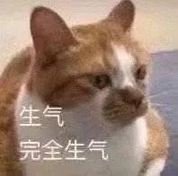 猛男表情包生气完全生气