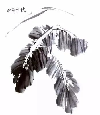 国画教程:刘存惠老师教你画芭蕉(含视频)