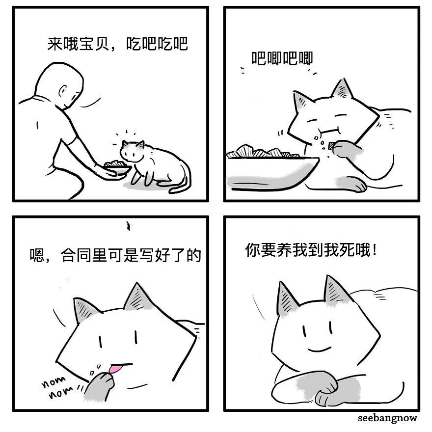 人，猫，狗，死神，这幅漫画平凡中有点感人...