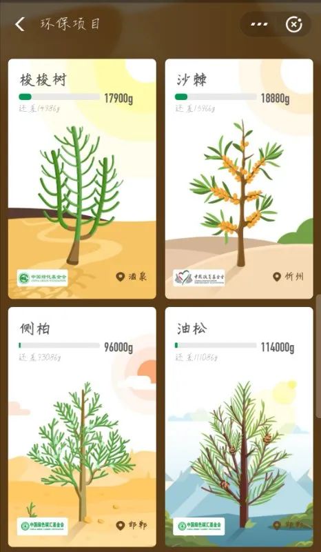 别踩我的梭梭树