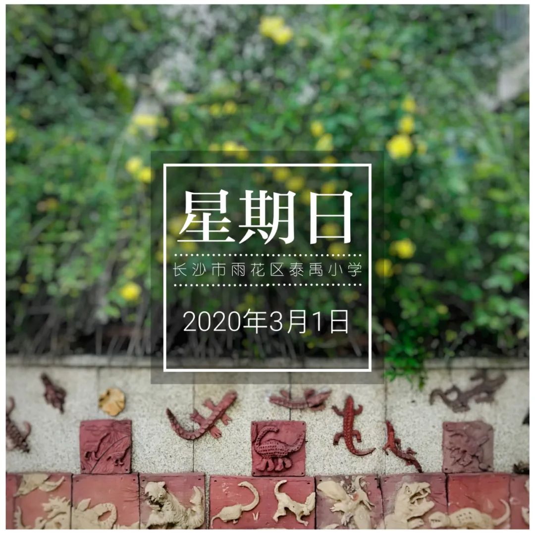 【第1077期】禹我同在 盼你归来——"不一样的31天"日历心语
