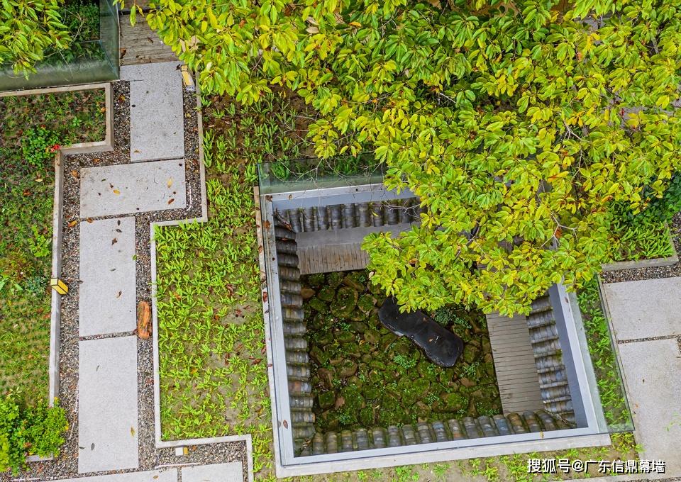 青城山半山腰处藏在森林里的民宿,纵览山林云海丨青暇山居_the