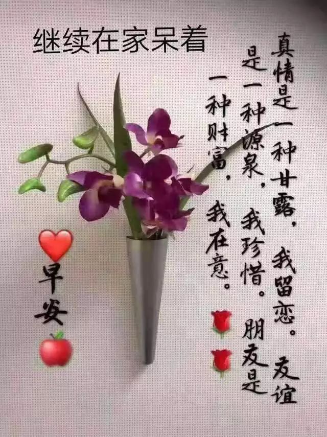 3月12日清晨最美早上好表情图片带字,早安暖心祝福语